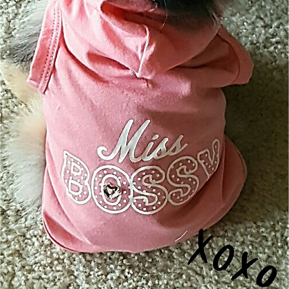 💐🌷💐🌷💐EASTER WISHES! 💐🌷💐🌷💐 - Picture 2 of 3